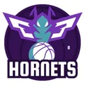 黄蜂